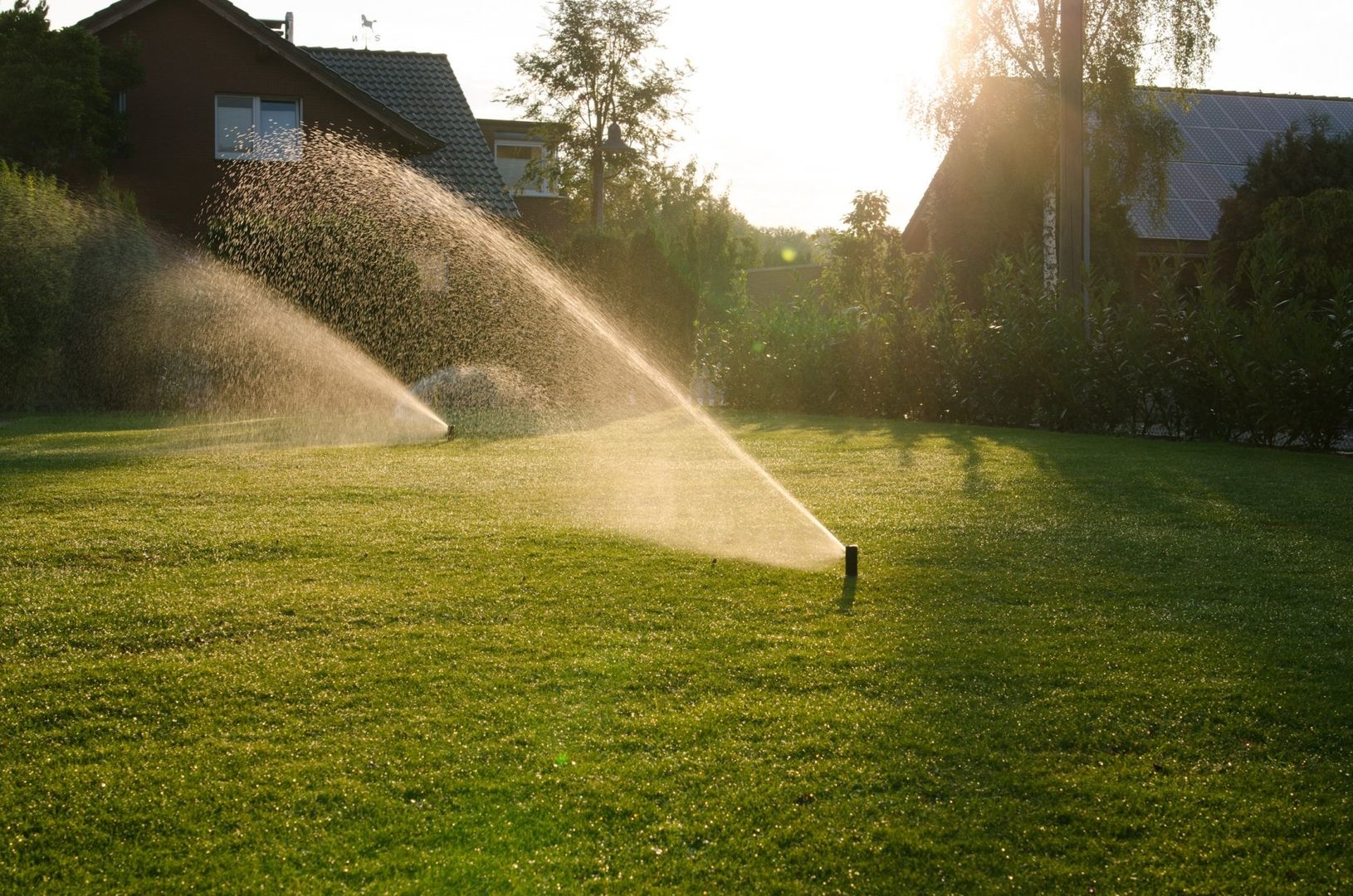Bewässerung-Automatische-Gartenbewässerung-Garten-Design-Modern-Privatgarten-Nico-Weber-Garten-Landschaftsbau-Bew_1